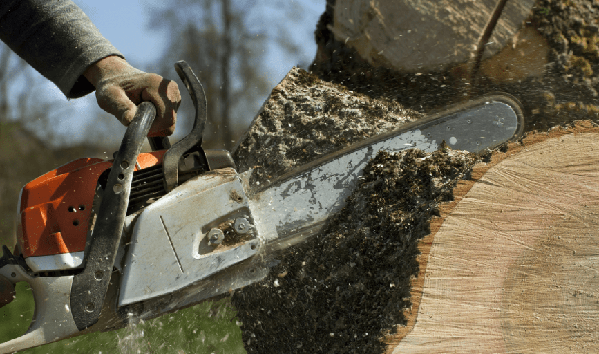 Tree Removal